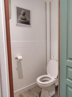 Lumineux T2, 4 pers, jardin privé, terrasse - Trélazé - 9