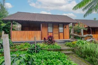 Kampung Bingo Glamping & Resto by Great Bali Villas - Bedugul - 5
