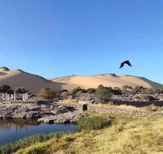 Habob Nubian Guest House - Assuan - 2