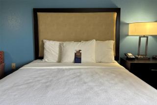 Baymont by Wyndham Litchfield - Litchfield - 2
