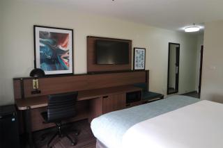 Wingate by Wyndham Kings Bay Naval Base I-95 - Kingsland - 1