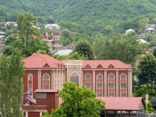 Sheki Palace Hotel - 1