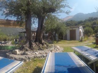 B&B da Maria Teresa - Maratea - Maratea - 4