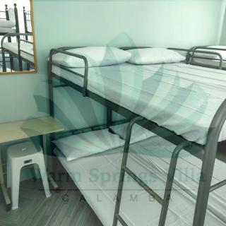 Warm Springs Villa 1 - Calamba - 4
