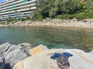 Marina Capo Pino - Sanremo - 9