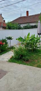 Gostinska kuća - Leskovac - 7