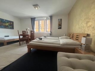 Mikulov Inn - hotel Zeme - Mikulov - 2