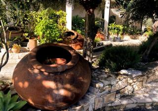 Olive Tree House - Anogyra - 4