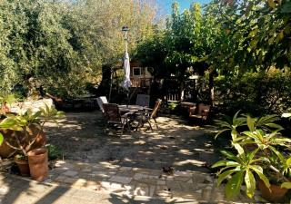 Olive Tree House - Anogyra - 6