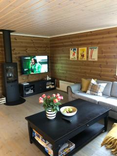 Familiehytte på Kvamskogen - Kvam - 9