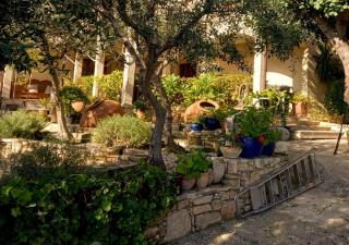 Olive Tree House - Anogyra - 1