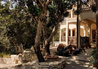Olive Tree House - Anogyra - 2