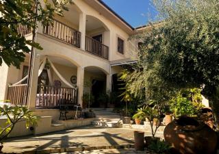 Olive Tree House - Anogyra - 0