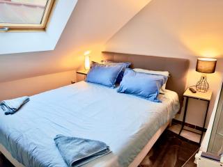 appart Filaterie Annecy - Annecy - 9