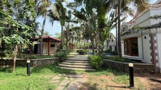 Wilson Guest House - 1