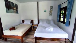 The forest hill cafe&homestays Chiangmai - 6