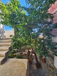 Villa Pogradeci - Pogradec - 7