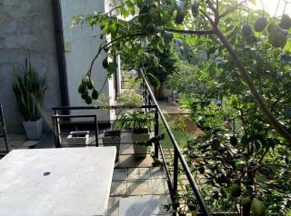 Hotel Yashvardhan Inn - - 5