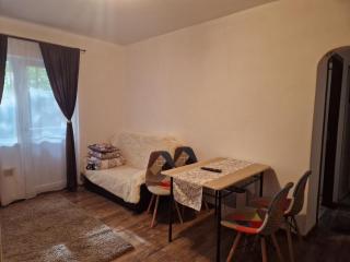 Apartament Ionela - 3