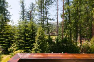 Pensiunea Bucuria Cheia & Ferma Animale - 2