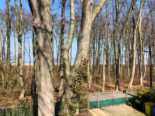 Haus am Meer - Graal - 6