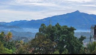 Hotel Laxmi Retreat - - 5