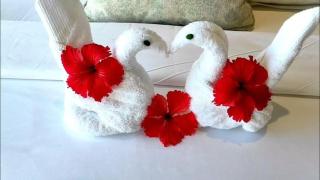Hotel Maitreya Inn - - 1