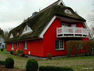 Landhaus Uhlenhof 4 - Groß Zicker - 5