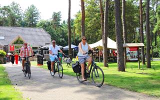 Care-accessible Cosy Cottage 4 personen - Kasterlee - 4