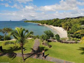 TI COCOTIER Studio PREMIUM Village Pierre&Vacances - 3