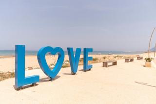 Sea Nest - 9