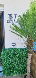 Beach Please VIP - Costinesti - 6
