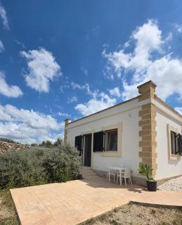 Villa Olive Paradise - Torre Lapillo - 0