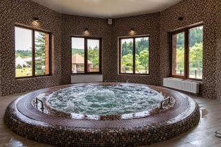 TAOR Karpaty Resort & Spa - Skhidnytsia - 4