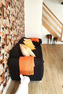 Les Rêveries de Tinténiac - 1