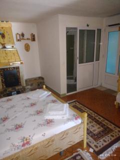 Casa de vacanta Puiu - Văleni - 7