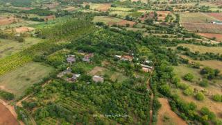 The Lilac Farm - Sāslu - 3