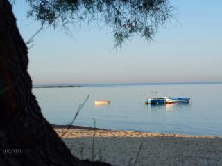 Masseria Giustiniani - 5