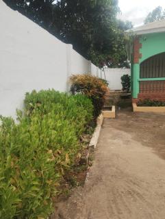 Afonta's Greenhouse Retreat - - 7