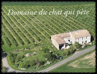 Domaine du Chat Qui Pète - 0