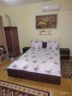 Casa de vacanta Puiu - Văleni - 9