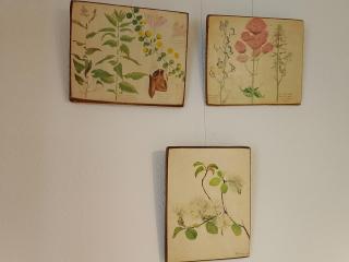 Domaine du Chat Qui Pète - 9