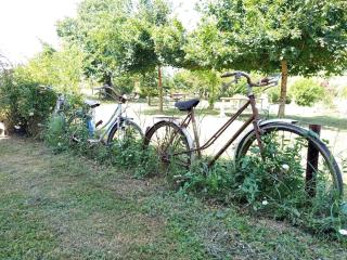 Domaine du Chat Qui Pète - 8