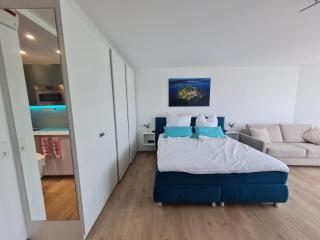 Mainaublick - Luxus, Pool und Sauna - Uhldingen-Mühlhofen - 8