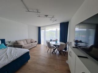 Mainaublick - Luxus, Pool und Sauna - Uhldingen-Mühlhofen - 0