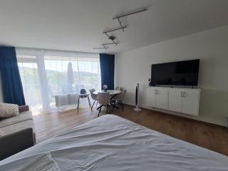 Mainaublick - Luxus, Pool und Sauna - Uhldingen-Mühlhofen - 7
