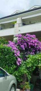 Vila Puharić - Makarska - 8