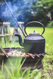 Thatched Roundhouse in Somerset Woodland - 1