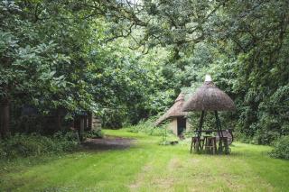 Thatched Roundhouse in Somerset Woodland - 6