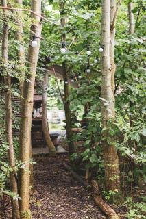 Thatched Roundhouse in Somerset Woodland - 4